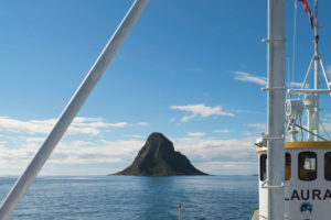 Boat trip to bird rocks of the island of Bleiksoya, Vesteralen, Norway, Scandinavia Boat trip to bird rocks of the island of Bleiksoya, Vesteralen, Norway, Scandinavia